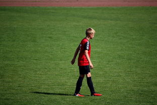 俱乐部青训选拔日活动吸引众多有潜力少年参与，足球青训俱乐部招生宣传