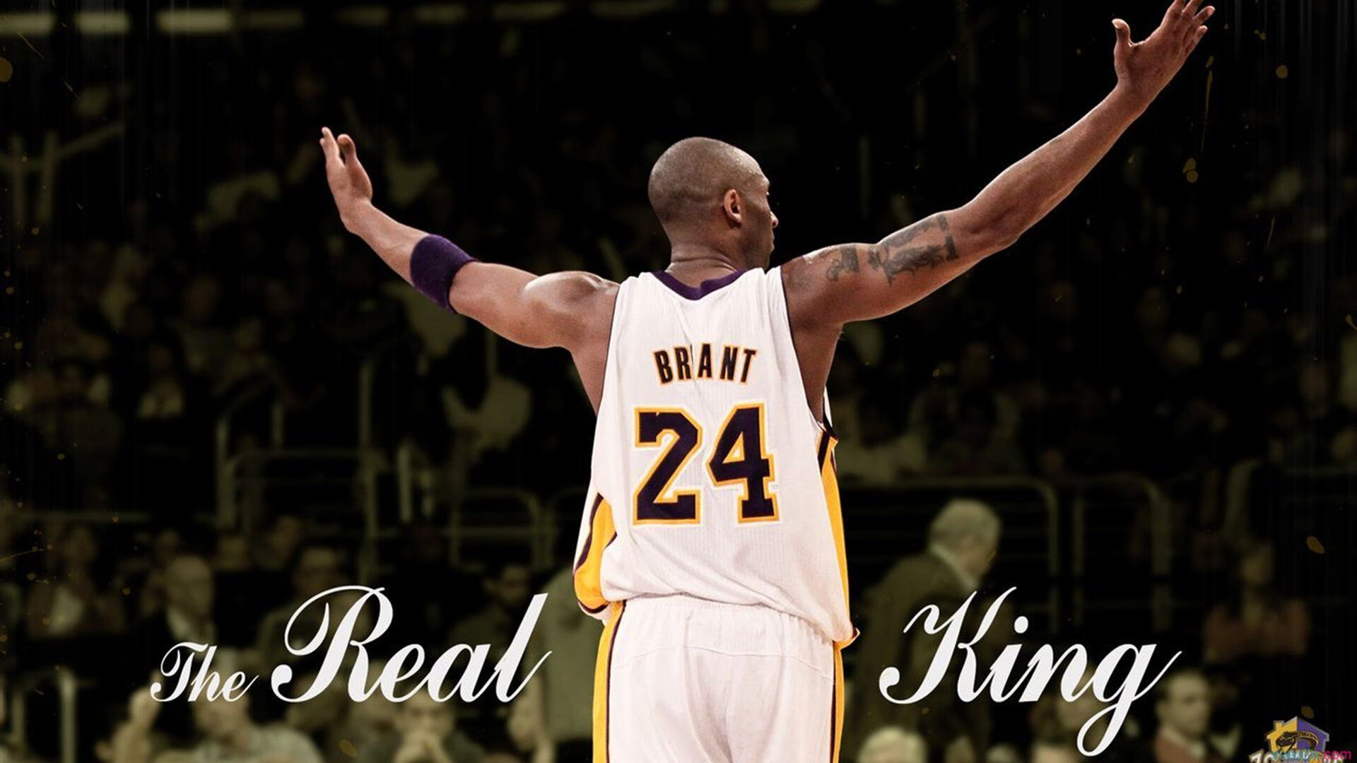 黎巴嫩男篮在西亚锦标赛中奋勇争先，争取奥运入场权，黎巴嫩男篮亚洲杯