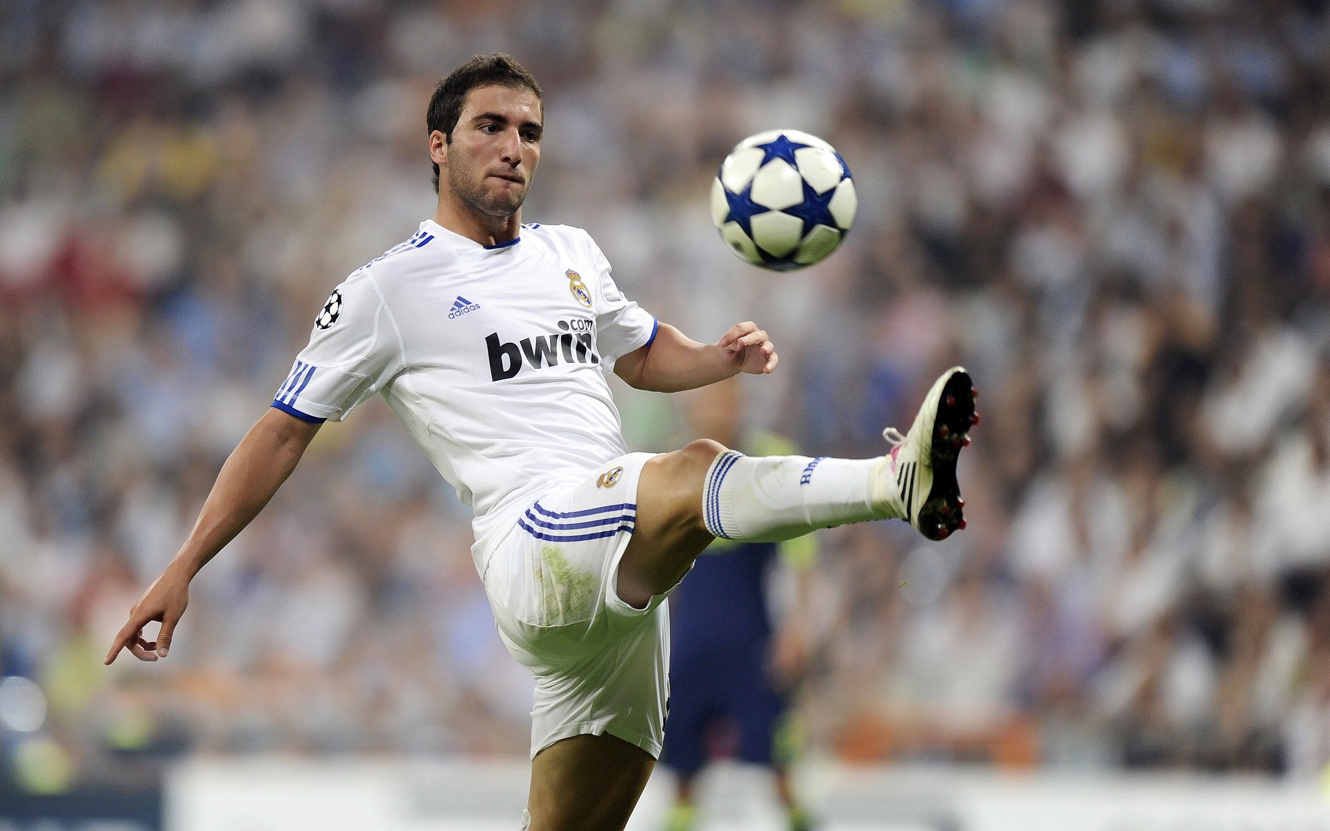 中国足球青训教练个人发展规划与职业路径，我国足球教练员的发展现状